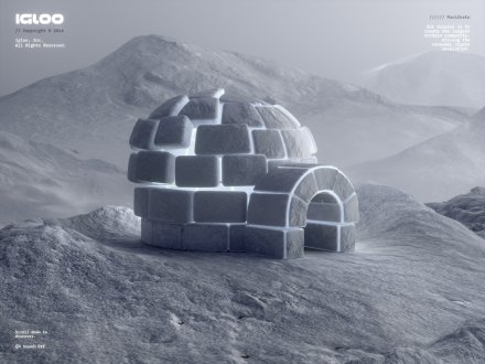 Igloo Inc